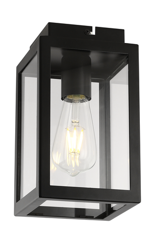 Black Porch Ceiling Light with Clear Glass 1xE27/ES Bulb Cap (Bulb not Included)